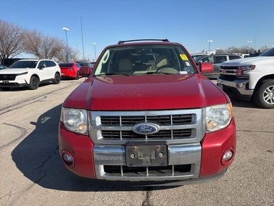 2010 Ford Escape Limited