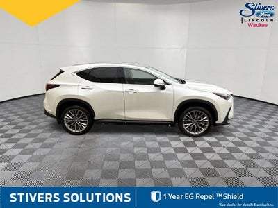 2025 Lexus NX 350h Luxury